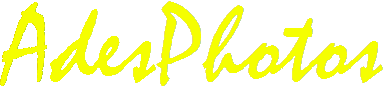 AdesPhotos-Yellow.gif (3760







    bytes)